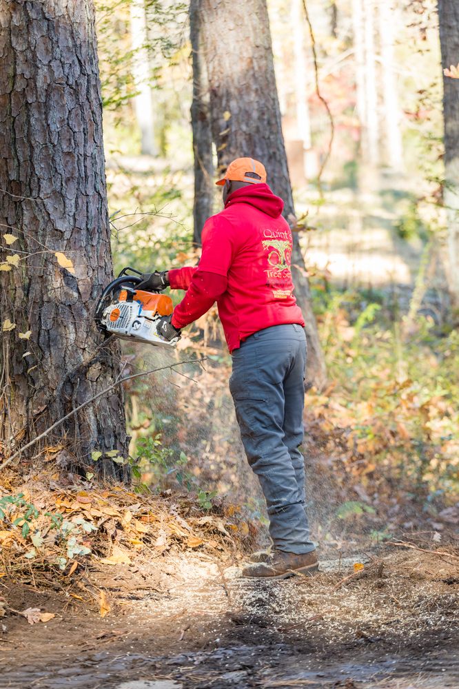 QUINT’S TREE SERVICE Updated April 2024 63 Photos 1344 Doe Valley