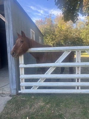 1760 Homestead Farm by null