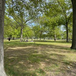 Marine Park