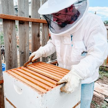 Beehive Naturals - a man in a bee suit and protective gear - Cosmetics & Beauty Supply Near Me - Ogden, Utah Beehive Naturals - a man in a bee suit and protective gear - Cosmetics & Beauty Supply Near Me - Ogden, Utah