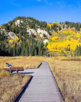 Big Cottonwood Canyon by null