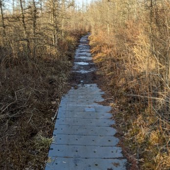 Schrier Park - Where the sidewalk ends - Parks Near Me - Portage, Michigan