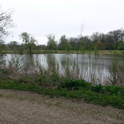 Fishing Pond View From Northeastern Trail