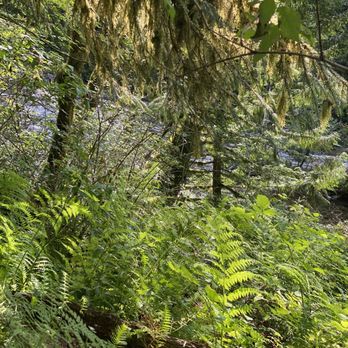 Twin Falls Trailhead - Hiking Near Me - North Bend, Washington Twin Falls Trailhead - Hiking Near Me - North Bend, Washington