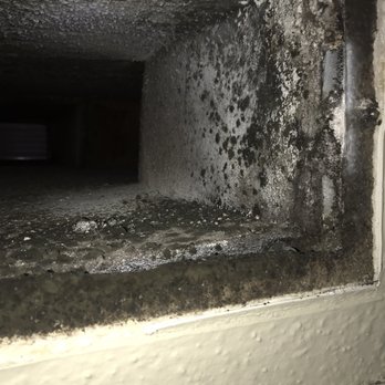 Greenridge Place Apartments - They tried to clean this with a towel and Spray bottle, and a vacuum. No gloves, no tyvek or respirator - Apartments Near Me - Houston, Texas Greenridge Place Apartments - They tried to clean this with a towel and Spray bottle, and a vacuum. No gloves, no tyvek or respirator - Apartments Near Me - Houston, Texas