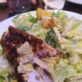 Thirsty Turtle SeaGrill - Blackened mahi mahi over Ceasar excellent - Seafood Near Me - Juno Beach, Florida Thirsty Turtle SeaGrill - Blackened mahi mahi over Ceasar excellent - Seafood Near Me - Juno Beach, Florida