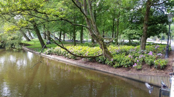 Oosterpark Amsterdam by null