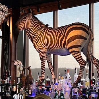 Tiger and Peacock - Cocktail Bars Near Me - Memphis, Tennessee Tiger and Peacock - Cocktail Bars Near Me - Memphis, Tennessee