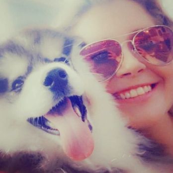 Paw Pals Delmarva - Dog Walkers Near Me - Ocean View , Delaware Paw Pals Delmarva - Dog Walkers Near Me - Ocean View , Delaware