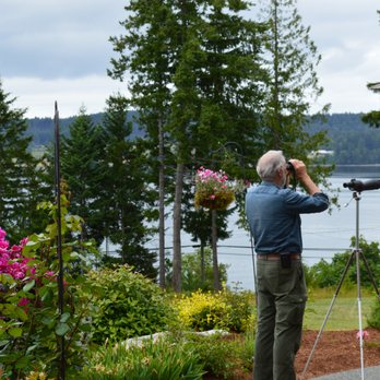 Two Eagles Lodge - Looking for the eagles - Vacation Rentals Near Me - Union Bay, British Columbia