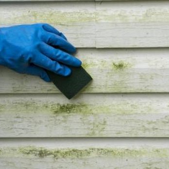 Probe Environmental - untitled - Home Inspectors Near Me - Ann Arbor, Michigan Probe Environmental - untitled - Home Inspectors Near Me - Ann Arbor, Michigan