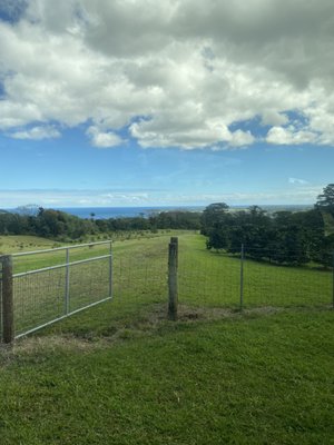 O.K. Farms Hawai'i by null