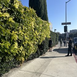 Chrome Hearts - Secret hidden location of Robertson and Melrose.