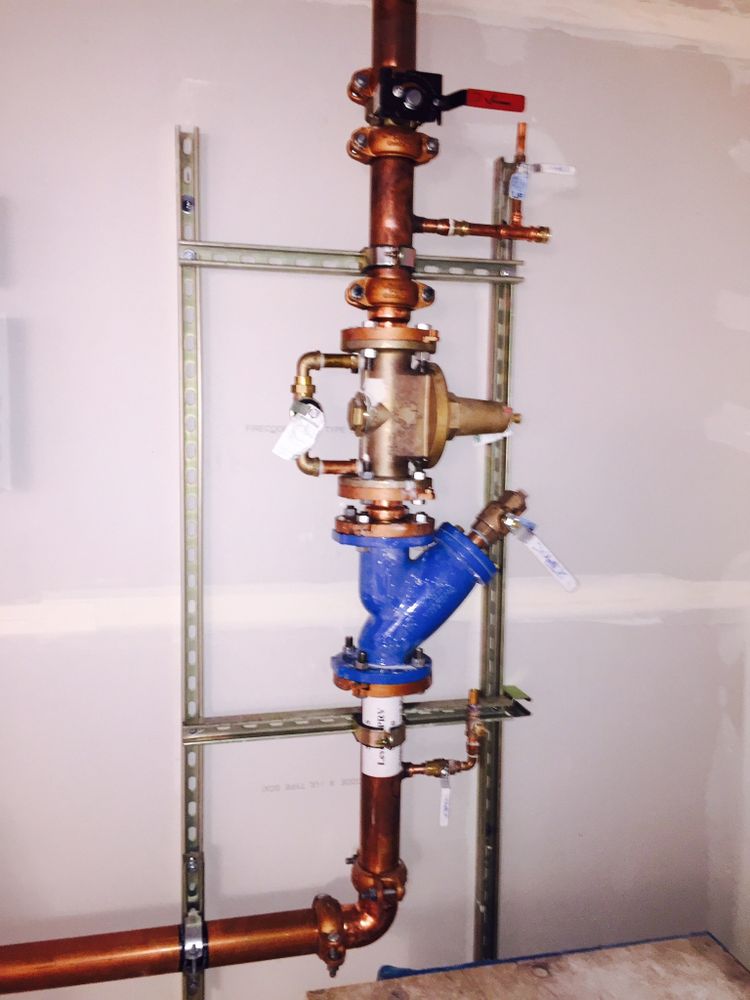 Slide of Frogger Plumbing