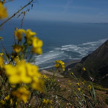Christ Central - Peninsula - Beautiful views from the church! - Churches Near Me - Millbrae, California