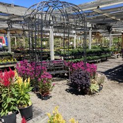 The Great Big Greenhouse & Nursery