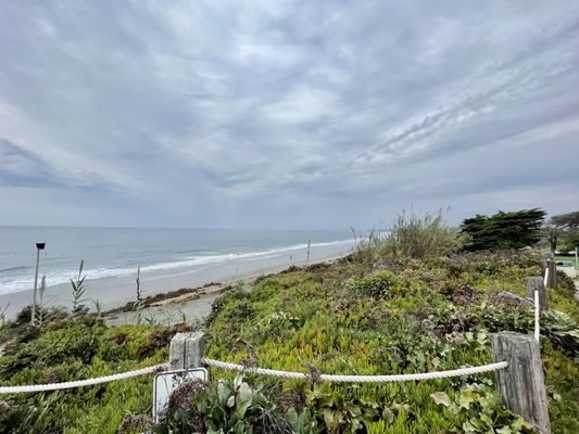 Del Mar by null
