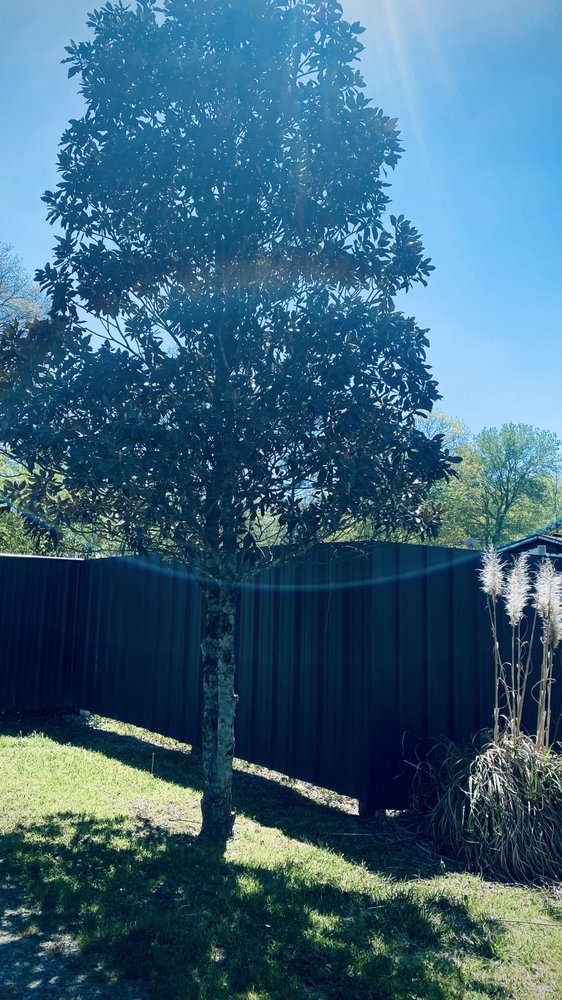 Tree5star Services - tree service in Little Rock, AR