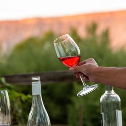 TWP Winery and Farm House - TWP Wine in glass held by woman by the estate vineyards