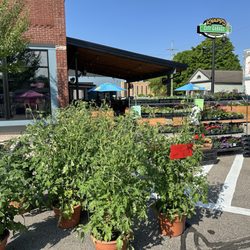 New Baltimore Farmers Market