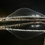 Photo of Puente Zubizuri