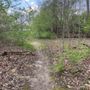 Photo of Lincoln Trail