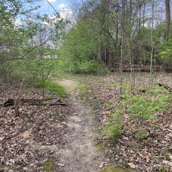 Lincoln Trail