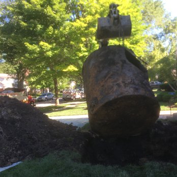 Chicago Tank Removal - a tree being removed - General Contractors Near Me - Chicago, Illinois Chicago Tank Removal - a tree being removed - General Contractors Near Me - Chicago, Illinois