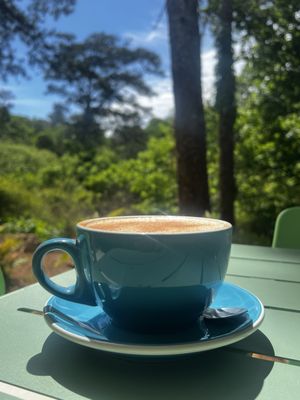 The Daily Cafe - Buckhead by null