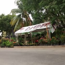 Vivero Av. Chac Mool