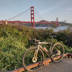 Specialized Bay Area