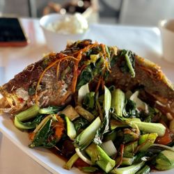 Pan Asian - Res snapper