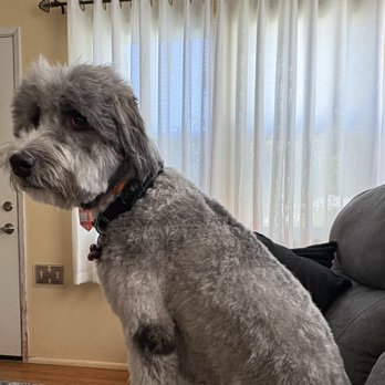 Bark 'N Bathe - Pet Groomers Near Me - Whittier, California Bark 'N Bathe - Pet Groomers Near Me - Whittier, California