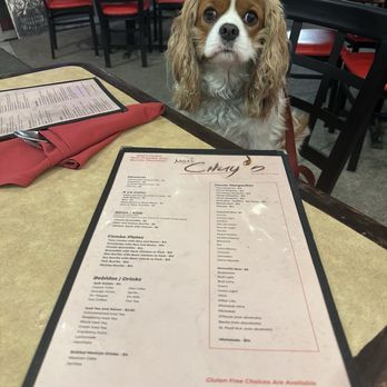 Mari Chuy's - Our pup was treated so good - Mexican Near Me - Reno, Nevada Mari Chuy's - Our pup was treated so good - Mexican Near Me - Reno, Nevada