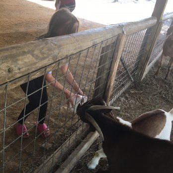Alabama Safari Park - Zoos Near Me - Hope Hull, Alabama