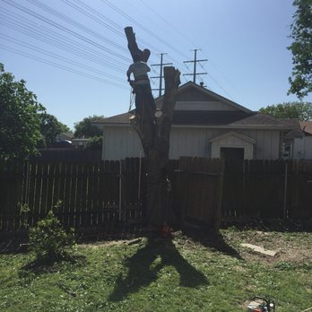Aaron's Tree Service - Tree Services Near Me - Austin, Texas