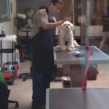 K9 Loft - Viewing window for grooming - Pet Groomers Near Me - Pasadena, California