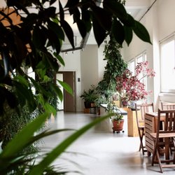 ManuVision Huset København - Vores frodige gang er vi rigtig stolte af. Her er et sted hvor både flora og mennesker trives.