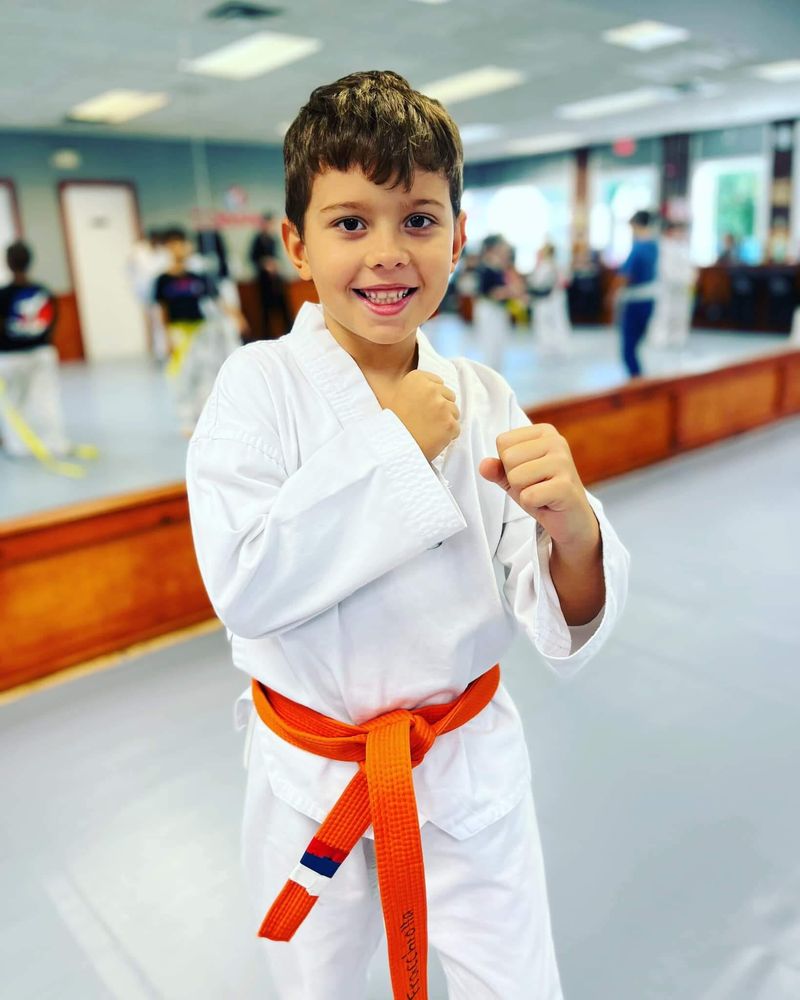 United Martial Arts Centers Logo