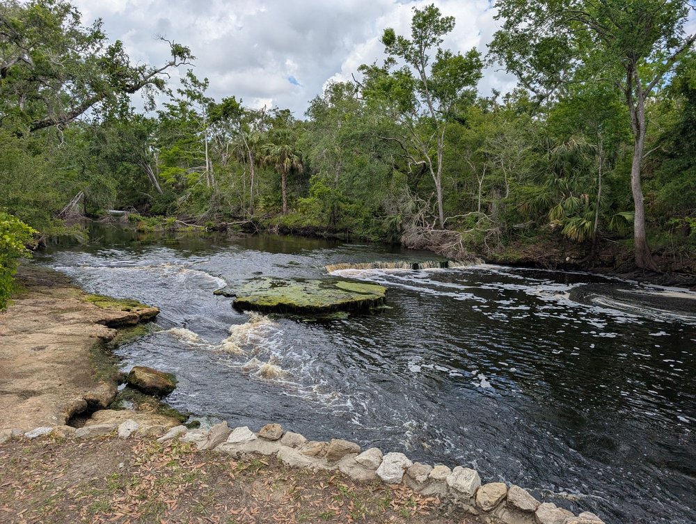 Steinhatchee Falls Image