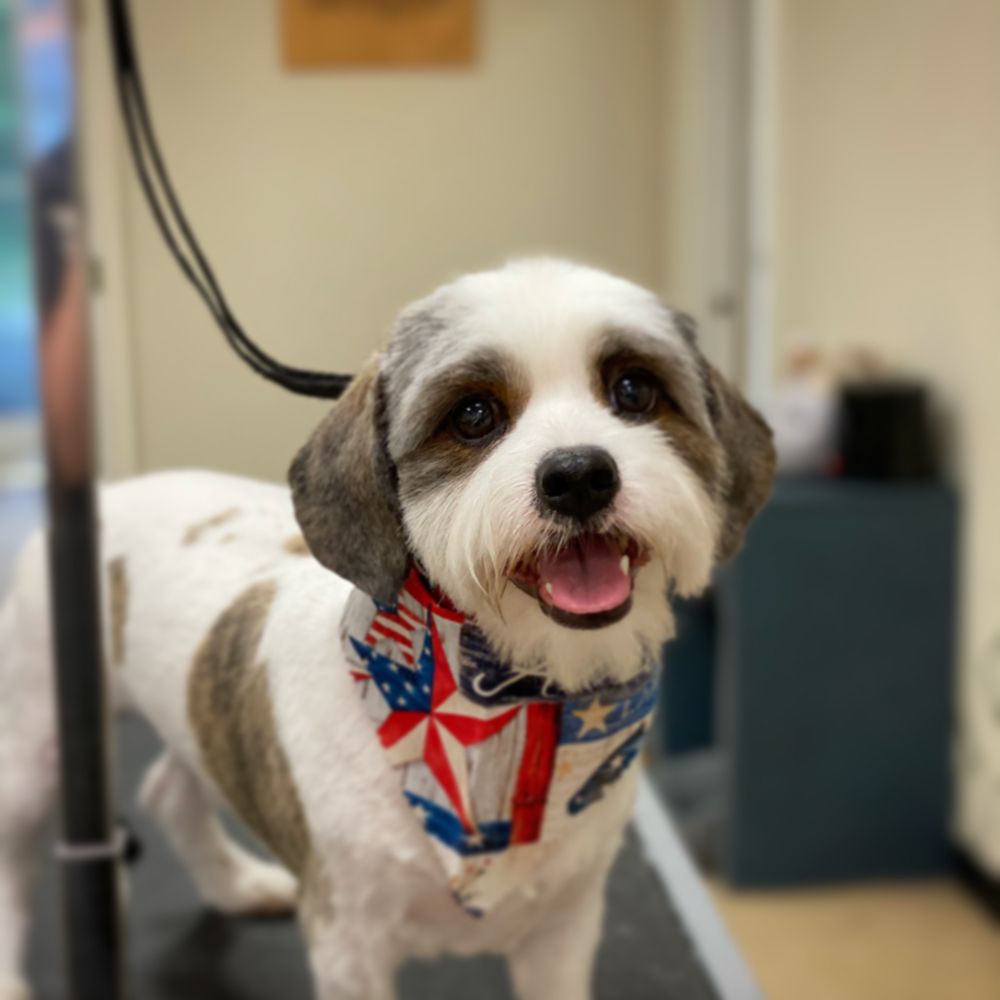 DEOGEE Updated September 2024 109 Photos & 11 Reviews 1901