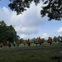 Cushman Park