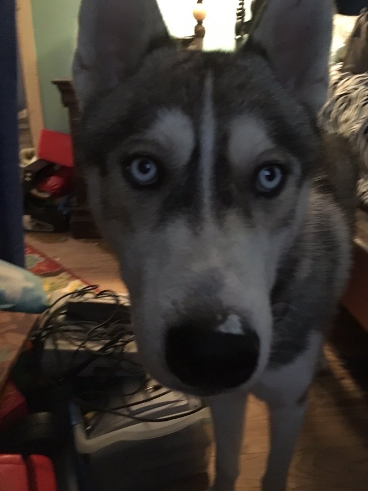 Slide of Buffington Brothers Heating & Cooling