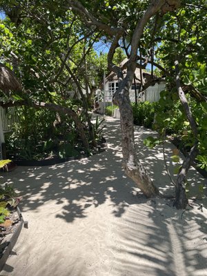 Coco Tulum by null