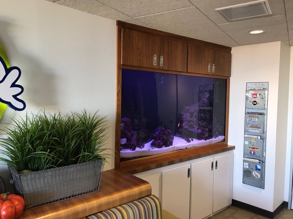 SOUTH SEAS AQUARIUM SERVICE Updated September 2024 5317 Camino