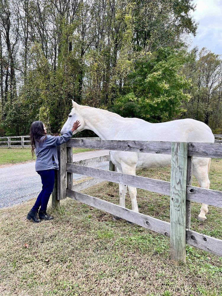 Maryland Therapeutic Riding - equestrian in Crownsville, MD