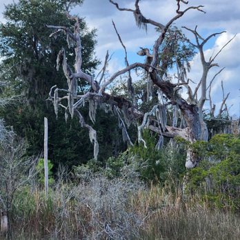West Ashley Greenway - Beautiful scenic view - Hiking Near Me