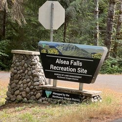 Alsea Falls Recreation Site - Falls