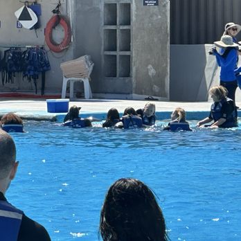 Cabo Adventures - Excellent Naui trainer & our photographer (see photo) were excellent! Loved our experience - Boat Tours Near Me - Cabo San Lucas, BCS Cabo Adventures - Excellent Naui trainer & our photographer (see photo) were excellent! Loved our experience - Boat Tours Near Me - Cabo San Lucas, BCS