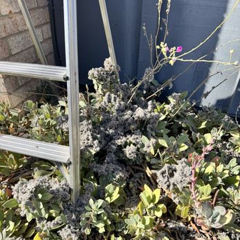 Lucky Vents - Years of lint from our dryer vent! - Heating & Air Conditioning/HVAC Near Me